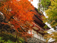 武蔵御嶽神社の紅葉