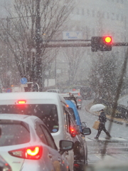 雪になっちゃったよ