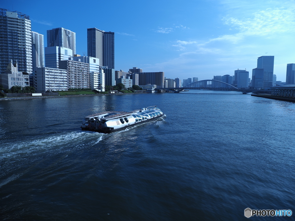 水辺に涼を求める