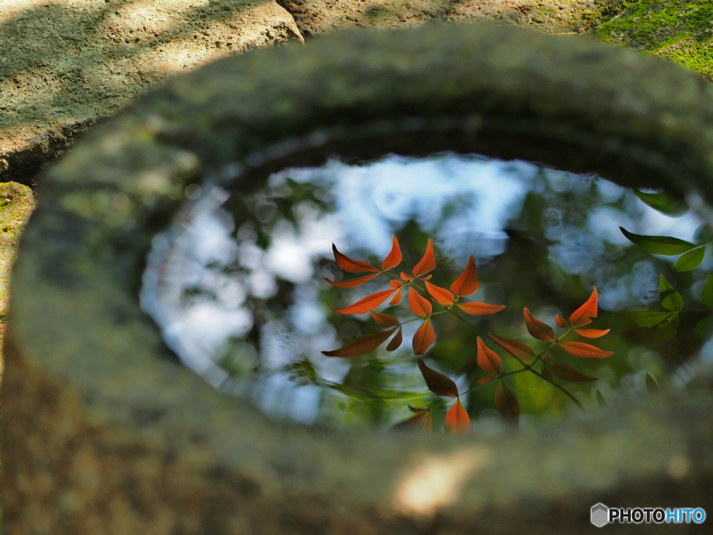 南天水鏡