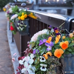 FlowerBasket