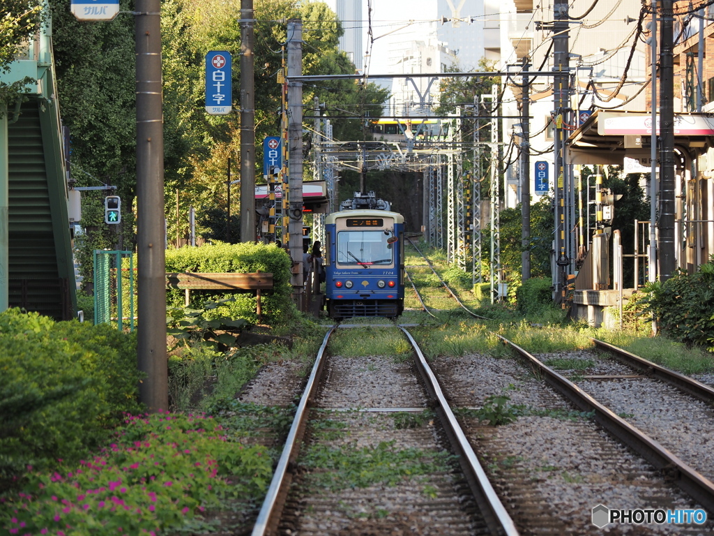 専用軌道を行く