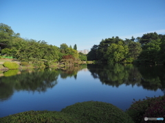 新緑の都市公園