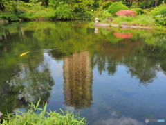都会のオアシス