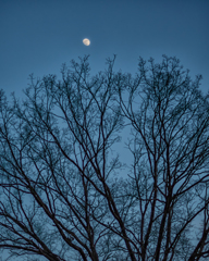 なぜか寂しい夕暮れ