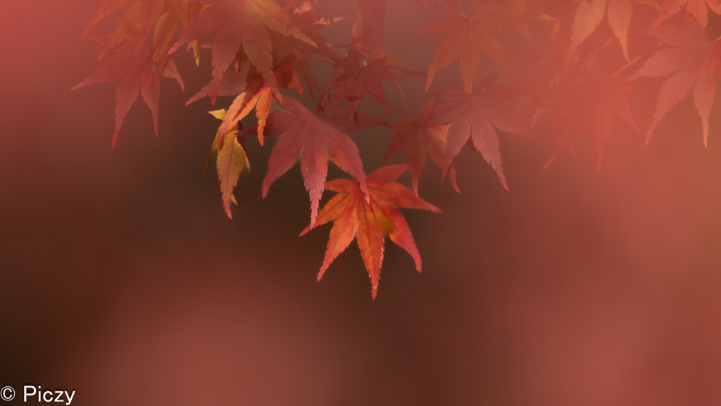 僅かに届く斜光