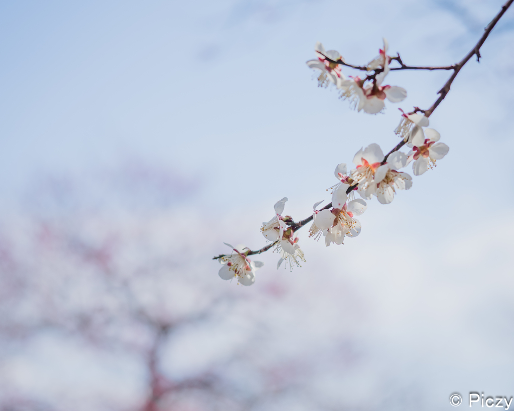 春陽の休日