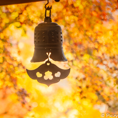 風鐸に護られる移り変わる色