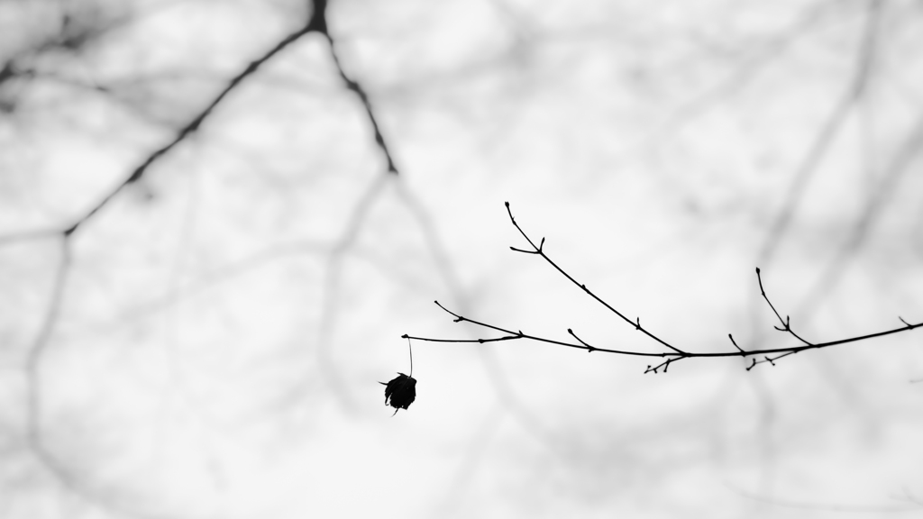 1月　散策の空