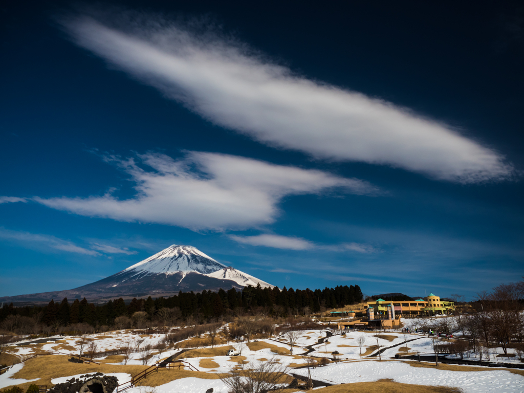 冷たい北風に吹かれて