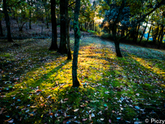 夕、誰もいない公園