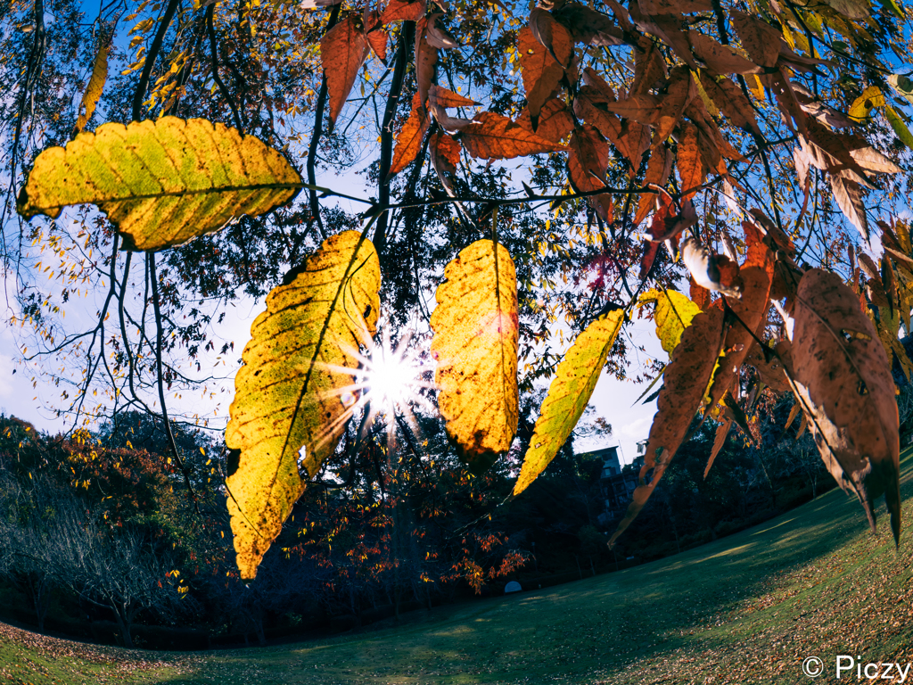 まどろむ暖かさ