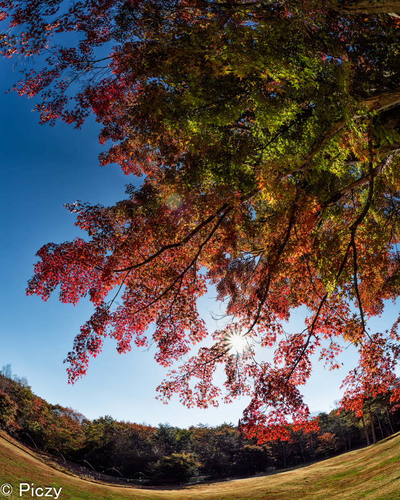 紅染初めの空