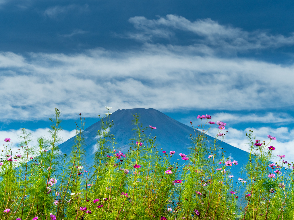 深まる色の空