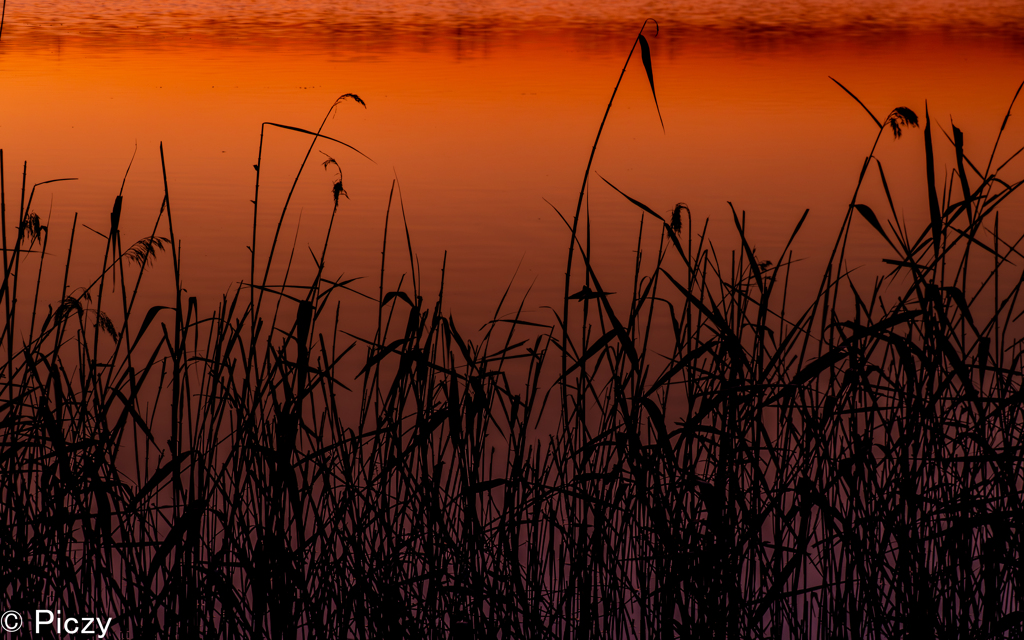夜明けのシルエット
