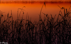 夜明けのシルエット