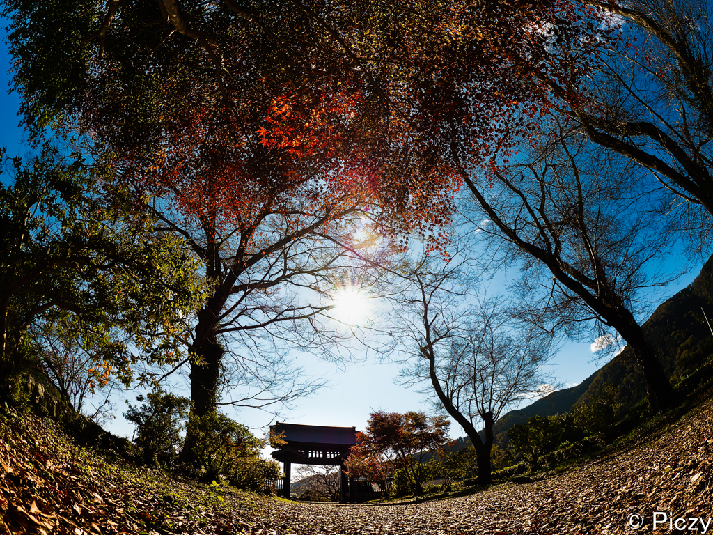 西山本門寺の黒門