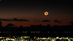 忙しい年の瀬の月