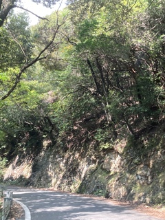 森林浴