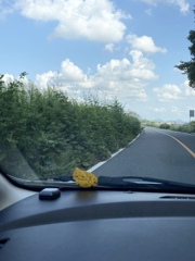 初秋のドライブデート