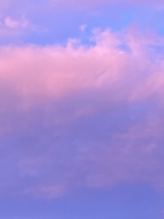 すみれ空