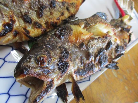 マスの塩焼き♬2