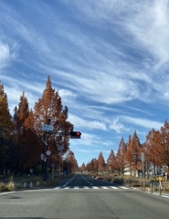 晩秋