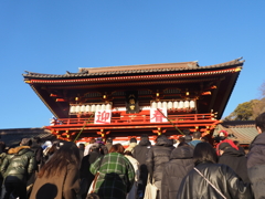 鎌倉鶴ヶ岡八幡宮初詣