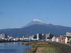 沼津から富士山