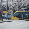 芳賀かしの森公園