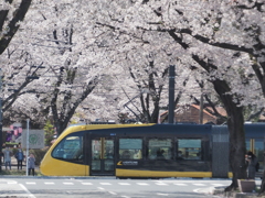 芳賀かしの森公園