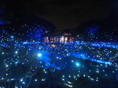 2025 湘南の宝石