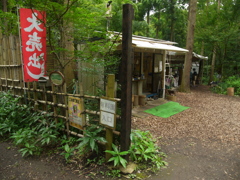 藤沢えびね・やまゆり園