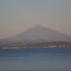 江ノ島からの朝富士