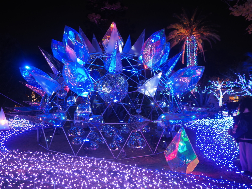 2025 湘南の宝石