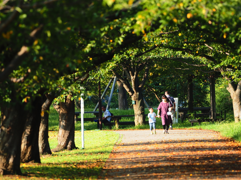 引地川親水公園