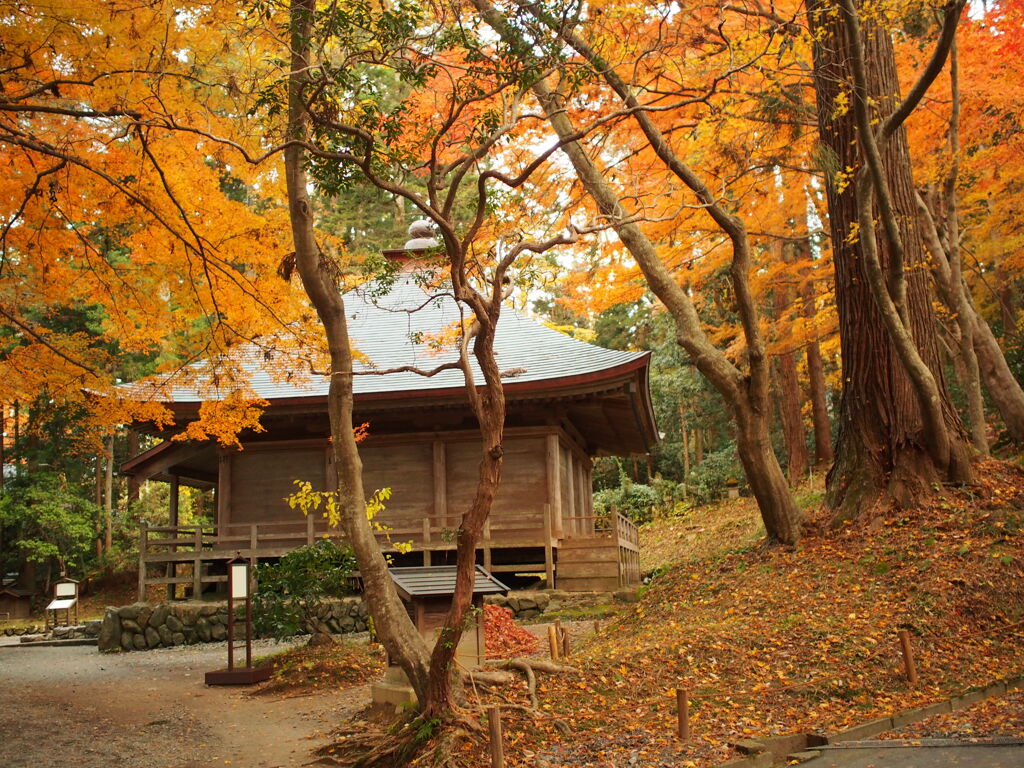 2013　平泉中尊寺紅葉