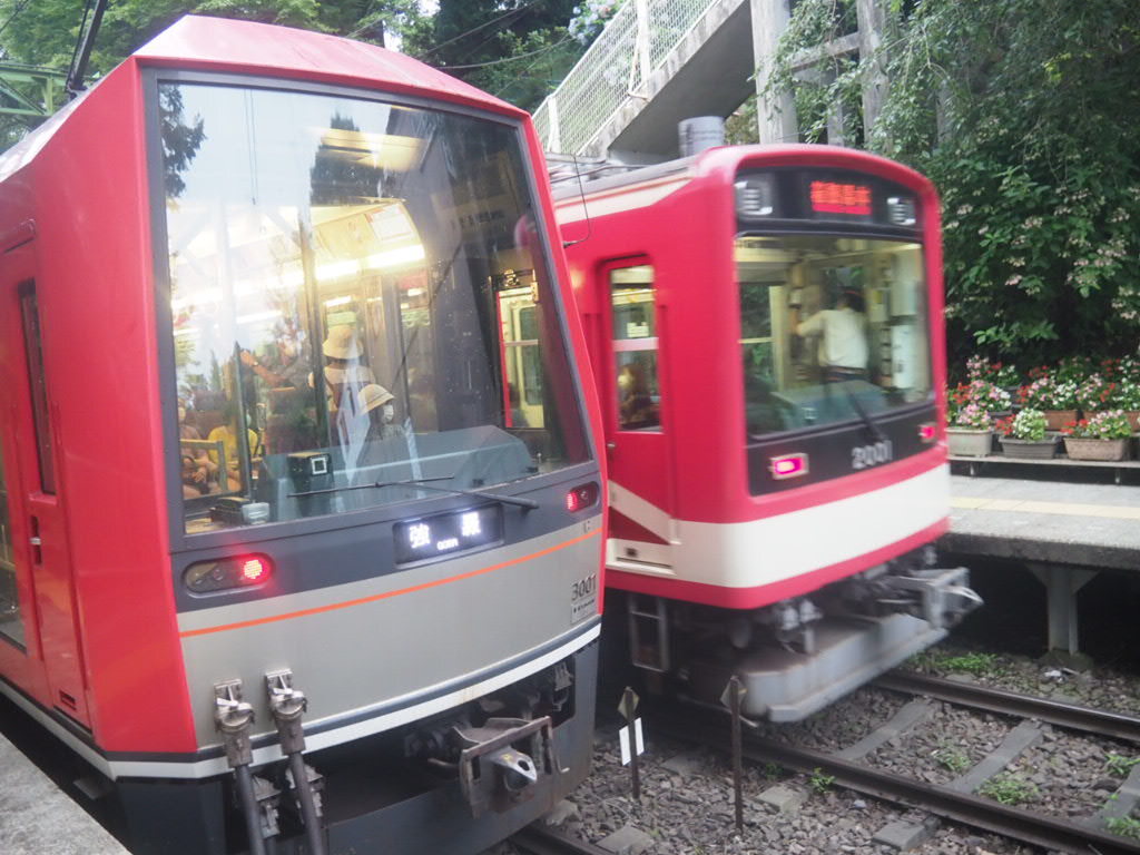 祝登山電車復旧