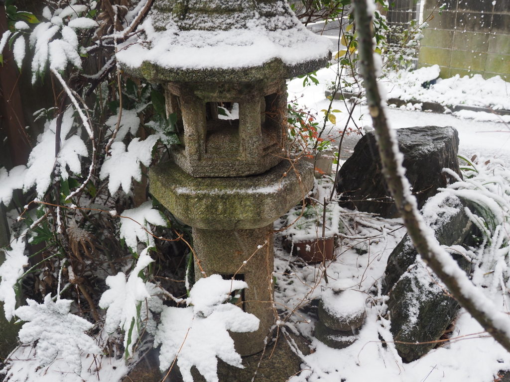 藤沢の積雪
