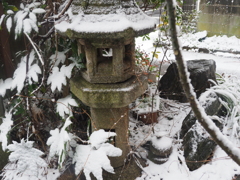 藤沢の積雪