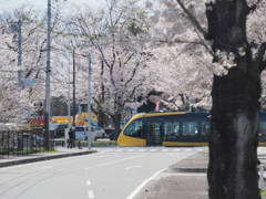 芳賀かしの森公園