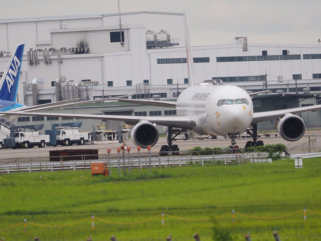 成田空港　ひこうきの丘