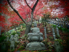 大山寺の紅葉