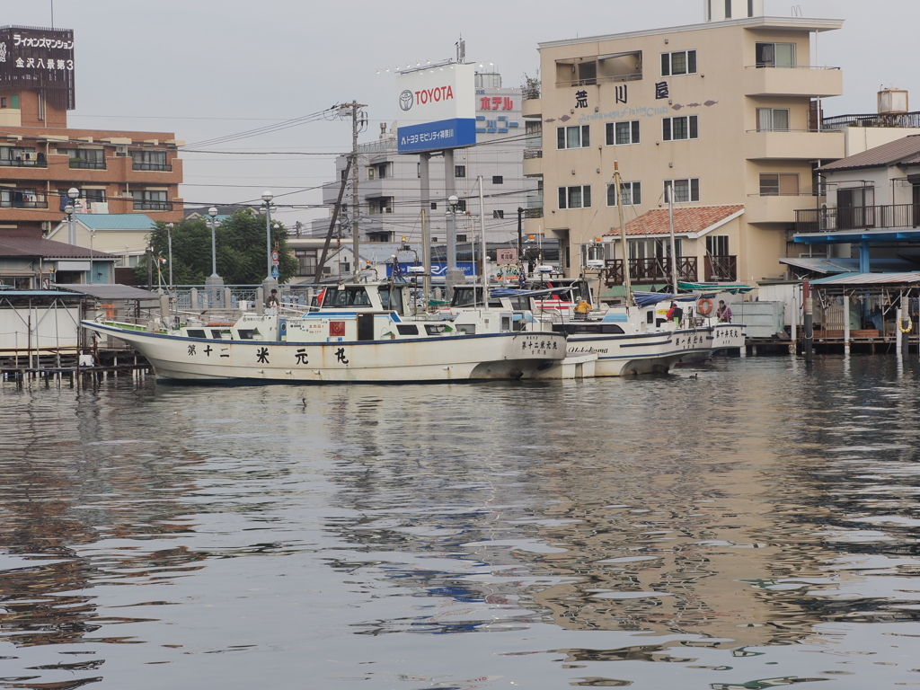 金沢八景平潟湾