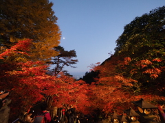 大山寺ライトアップ