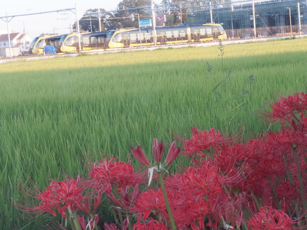 宇都宮LRT