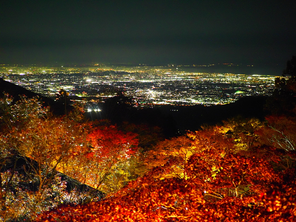 ライトアップ大山阿夫利神社からみた湘南夜景