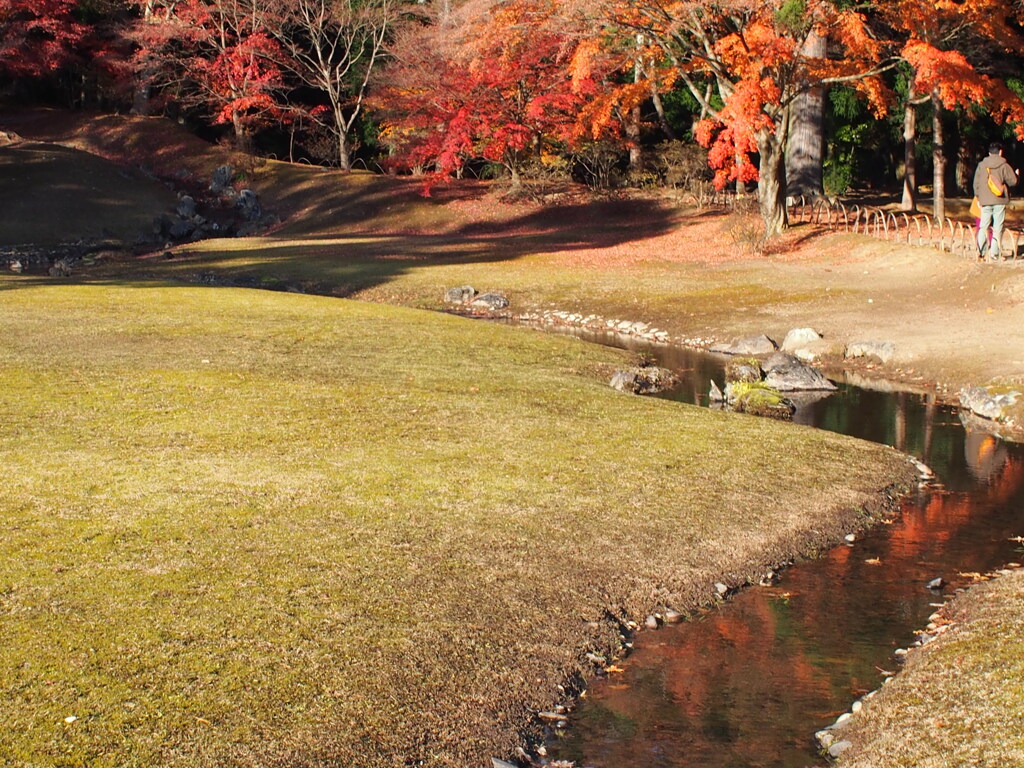 2013　毛越寺庭園