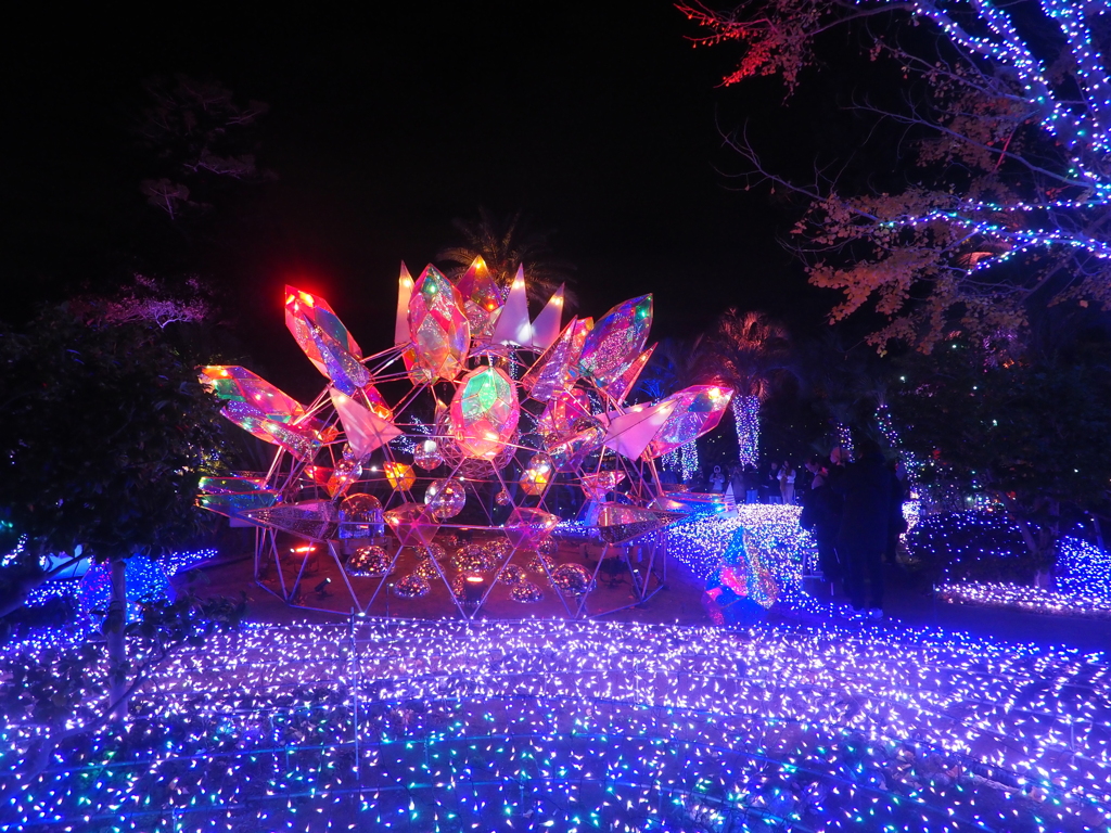 2025 湘南の宝石