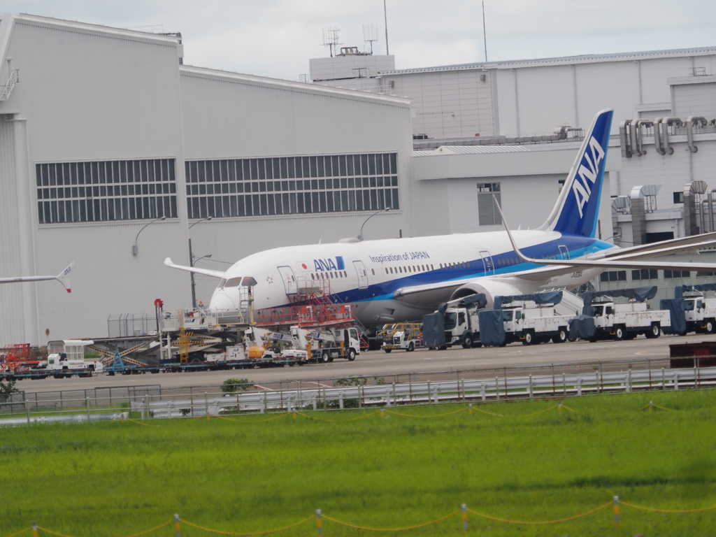成田空港　ひこうきの丘